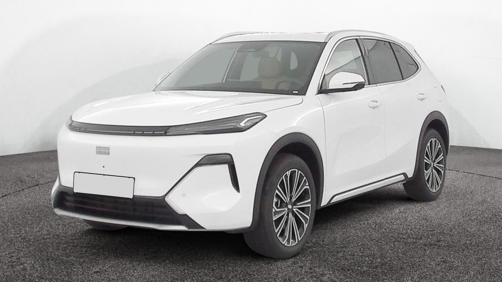 GEELY STARRAY - Photo 1