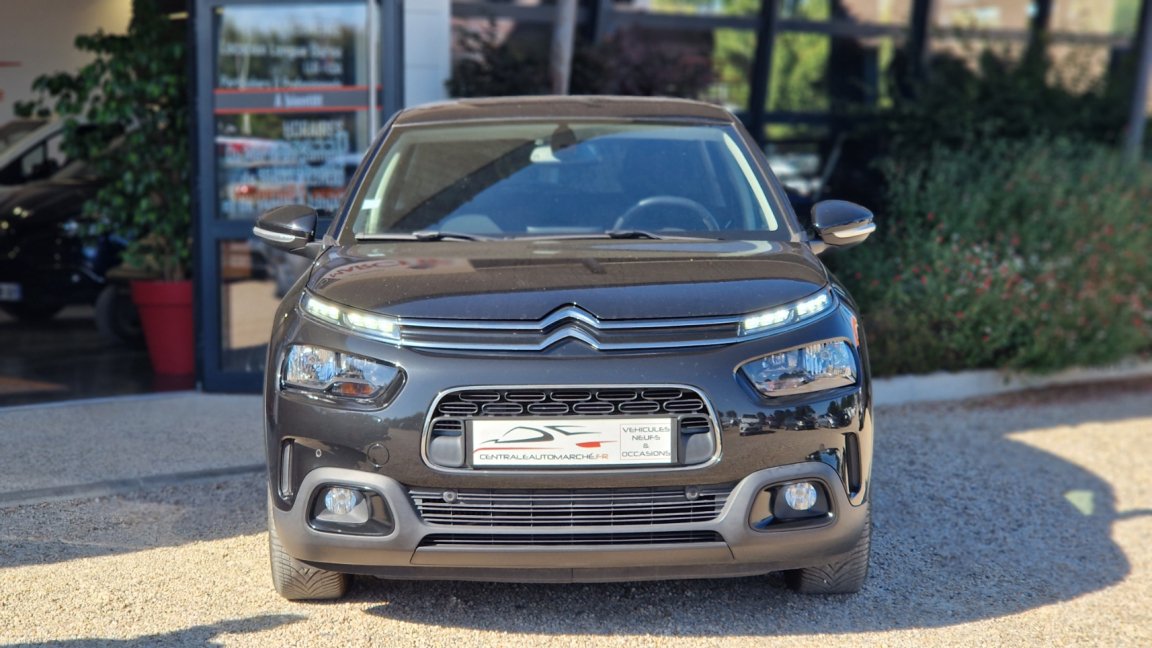 Citroën C4 Cactus - Photo 11