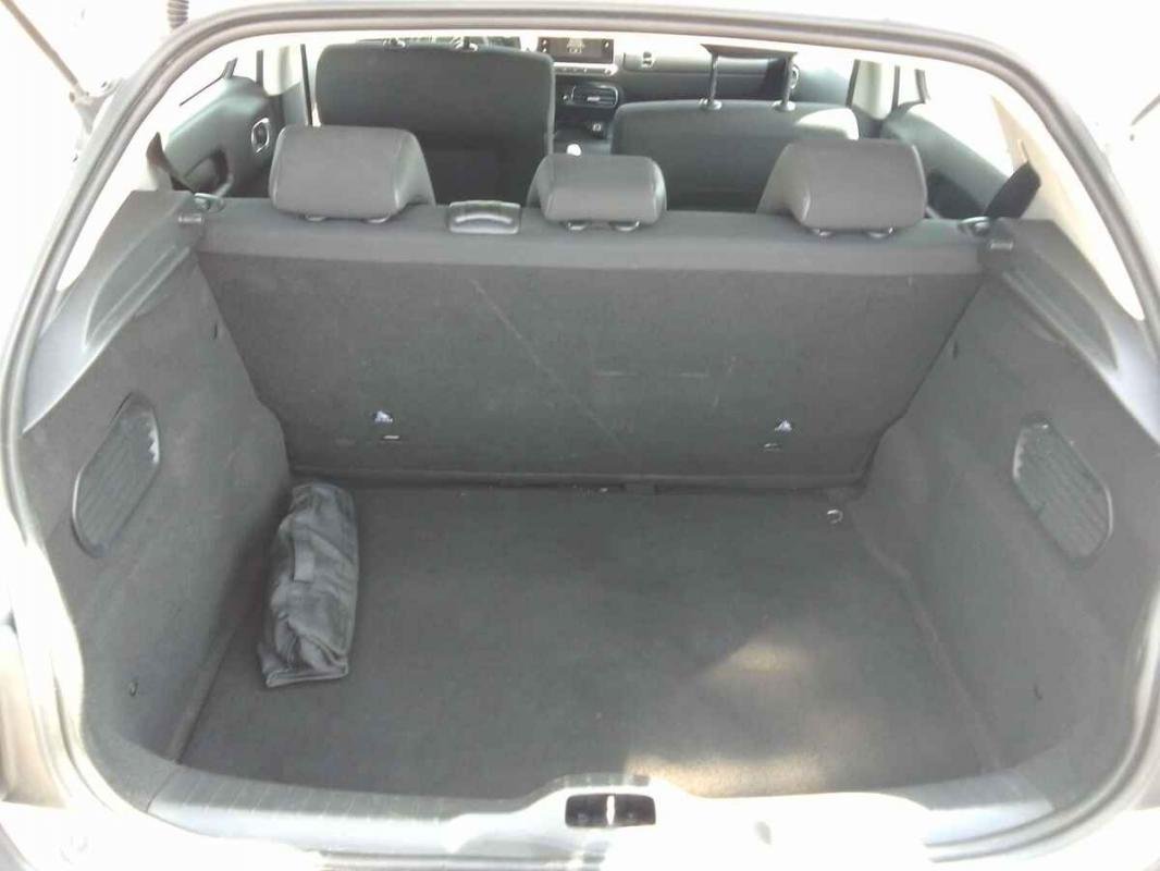 Citroën C4 Cactus - Photo 22