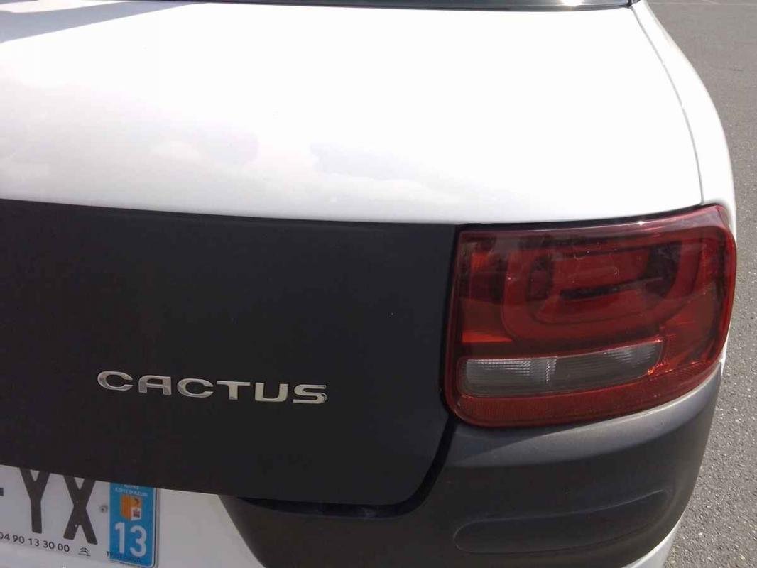 Citroën C4 Cactus - Photo 24