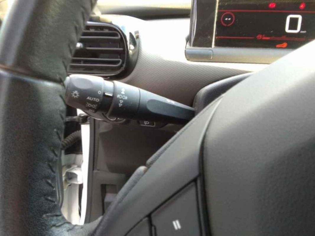 Citroën C4 Cactus - Photo 12