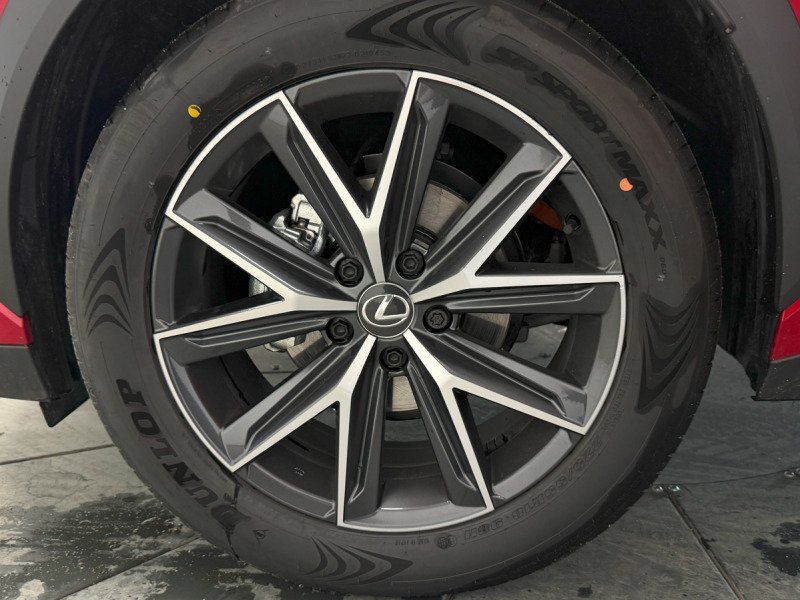 Lexus LBX - Photo 13