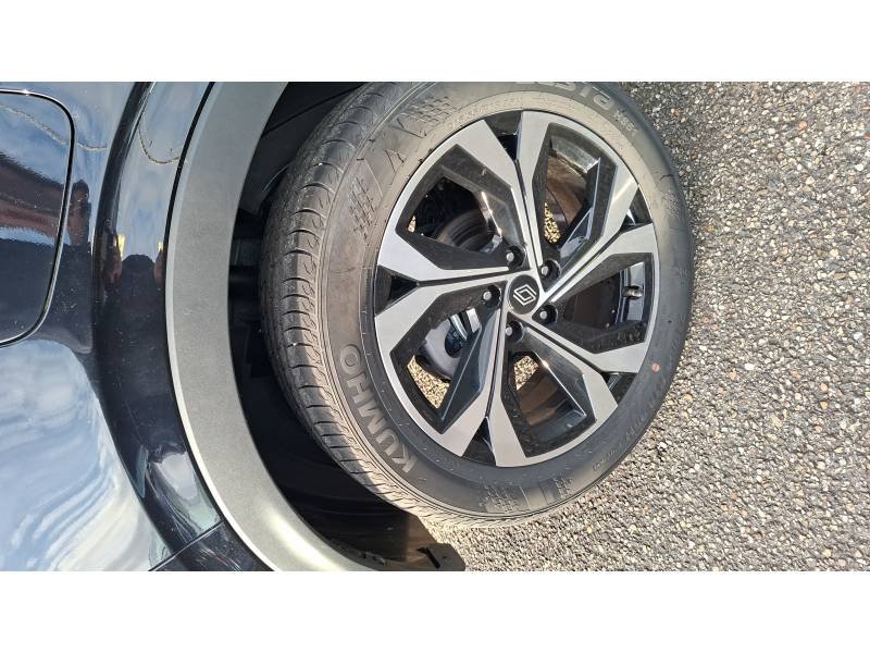 Renault Arkana - Photo 11