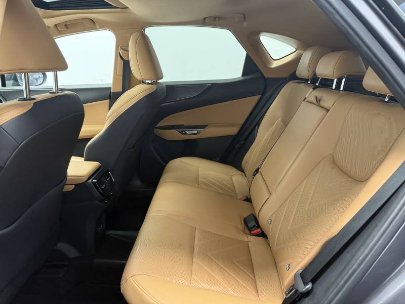 Lexus NX - Photo 13