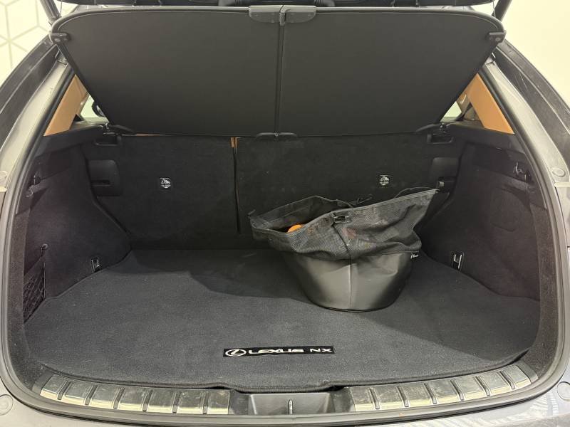 Lexus NX - Photo 19