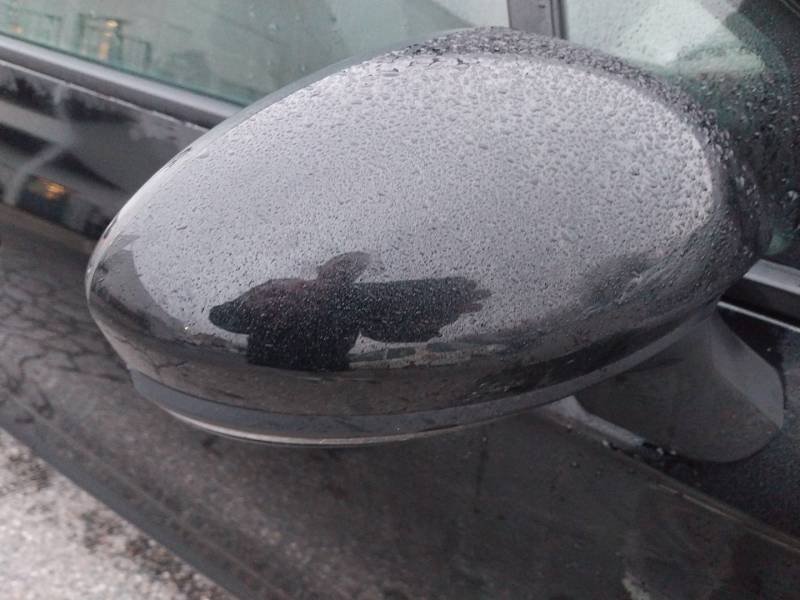 Renault Clio - Photo 14