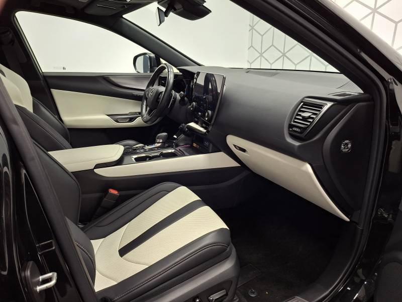 Lexus NX - Photo 12