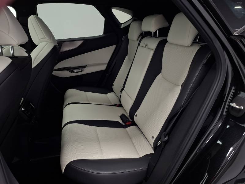 Lexus NX - Photo 23