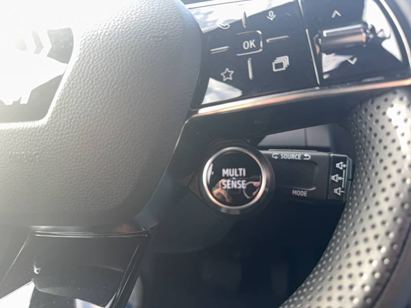 Renault Mégane - Photo 28