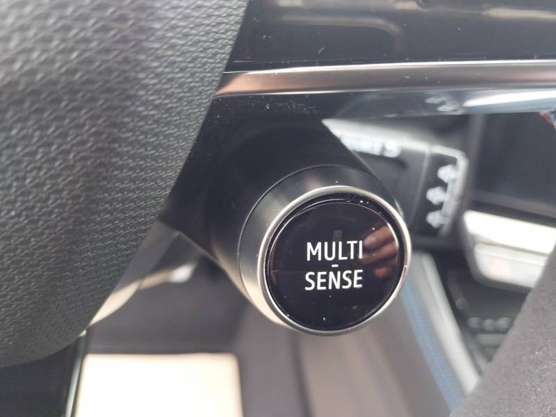 Renault Austral - Photo 30