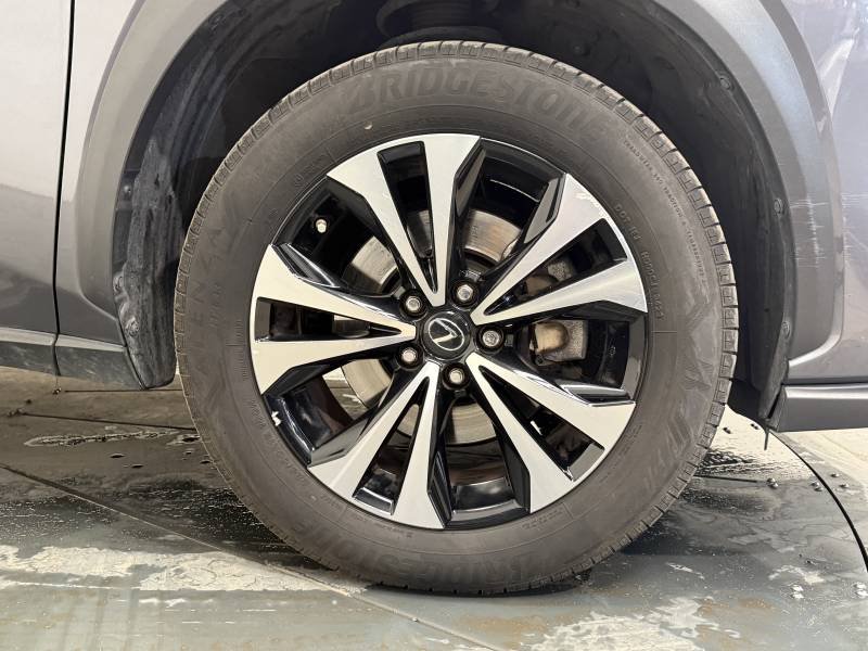 Lexus NX - Photo 9