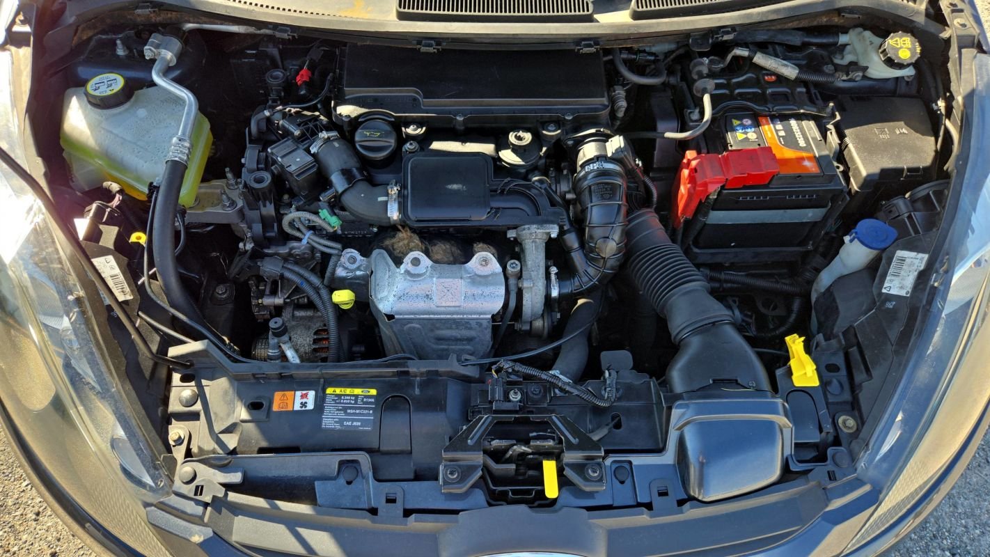 Ford Fiesta - Photo 15