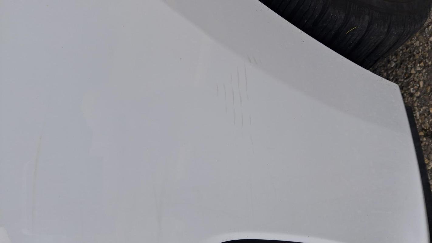 Ford Focus - Photo 24