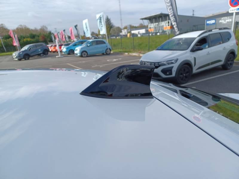 Renault Arkana - Photo 25