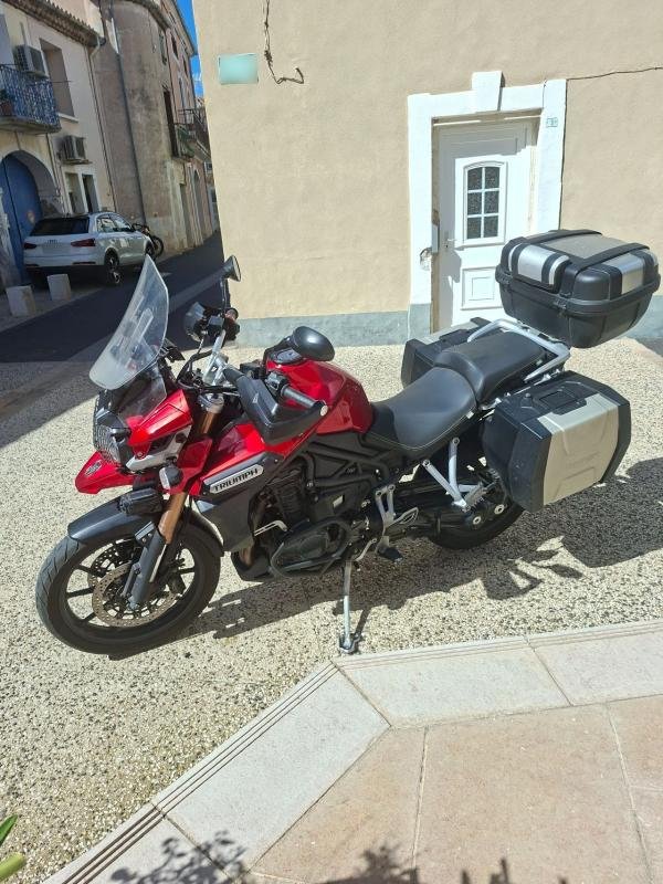 Triumph Tiger