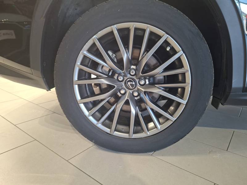 Lexus RX - Photo 17