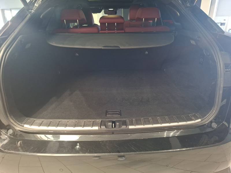 Lexus RX - Photo 19