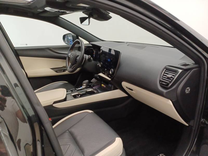 Lexus NX - Photo 12