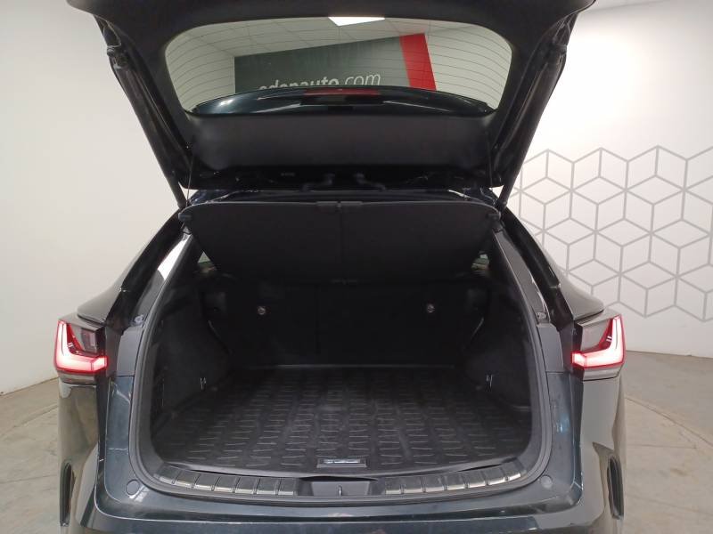 Lexus NX - Photo 14