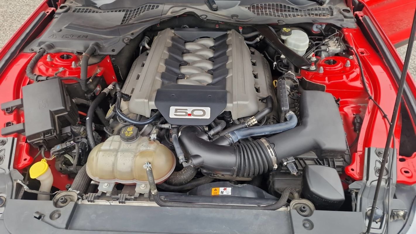 Ford Mustang - Photo 15