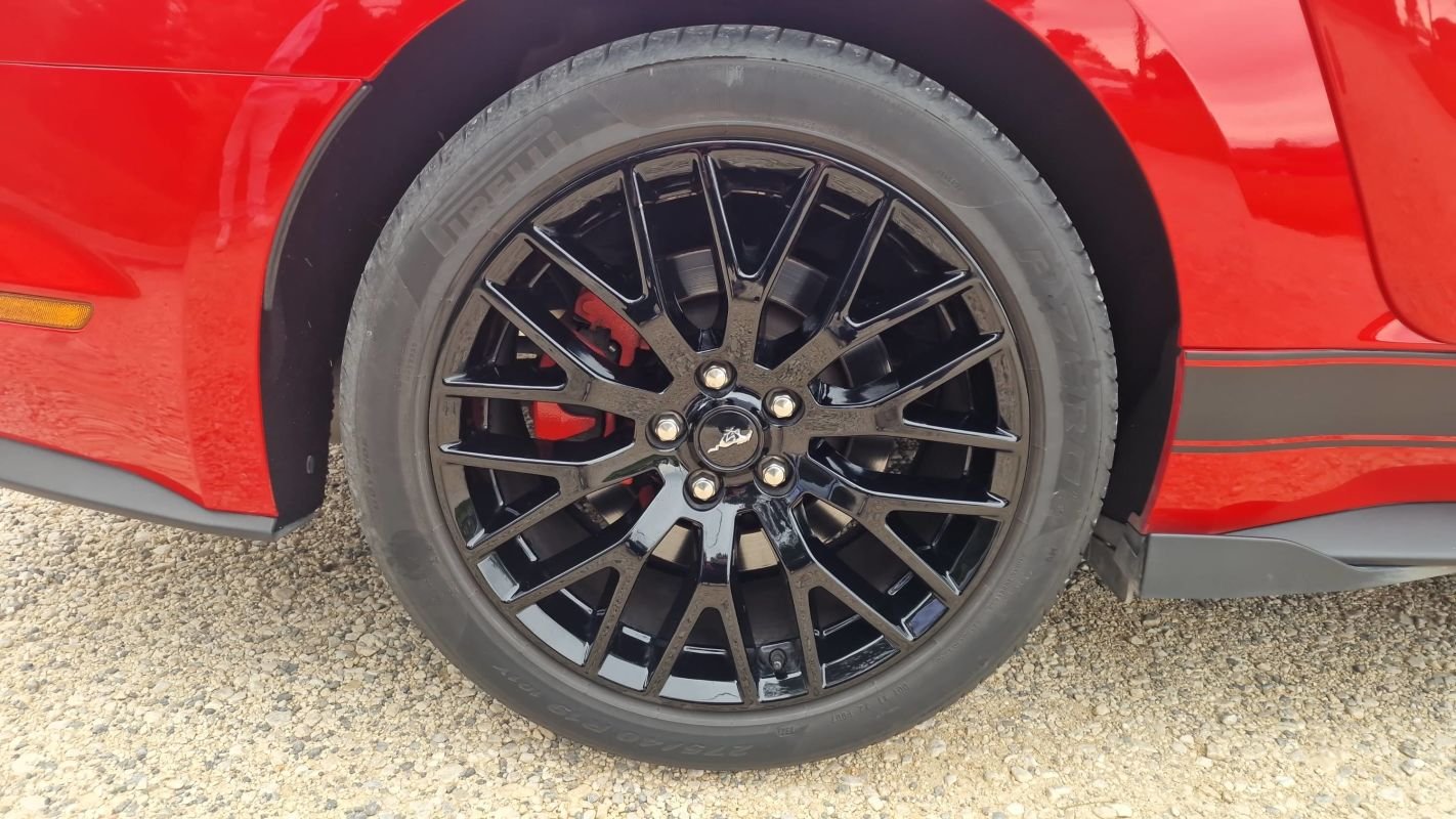 Ford Mustang - Photo 16