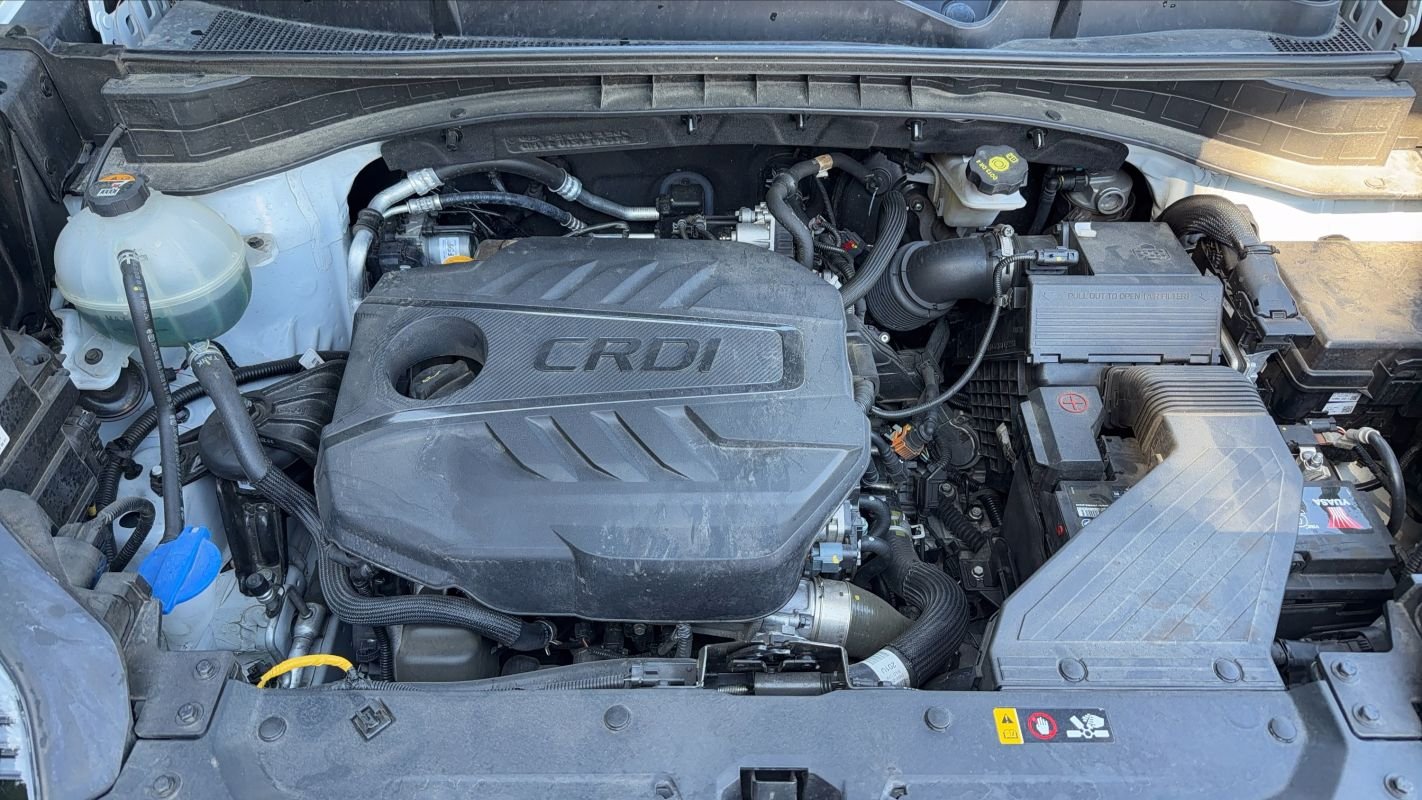 Kia Sportage - Photo 15