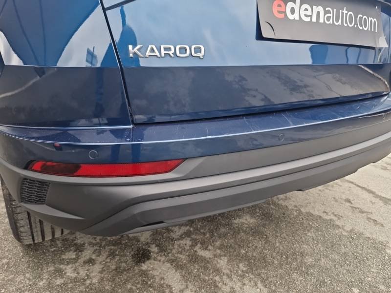 Skoda Karoq - Photo 16