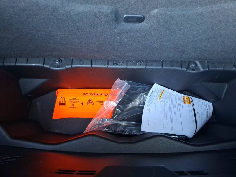 Renault Mégane - Photo 15