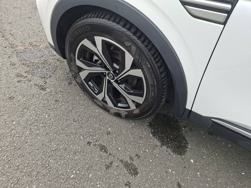Renault Arkana - Photo 8