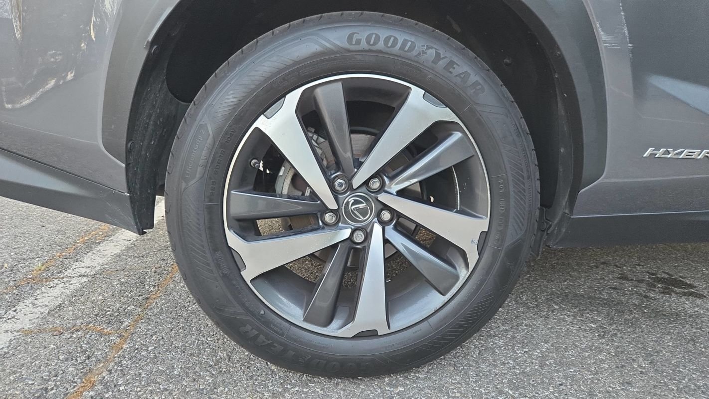 Lexus NX - Photo 16