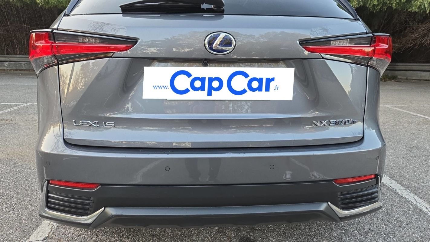 Lexus NX - Photo 21
