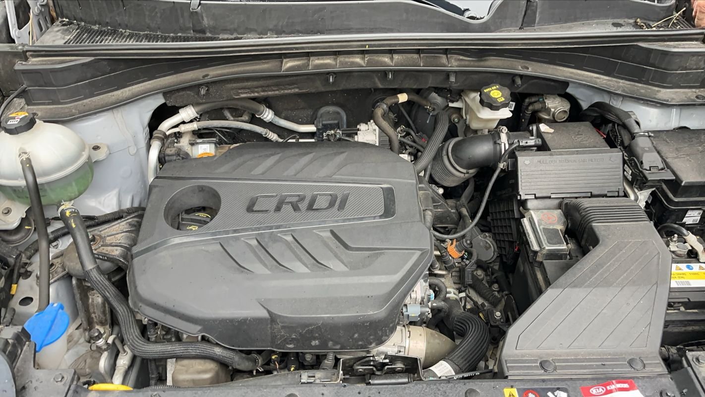 Kia Sportage - Photo 15