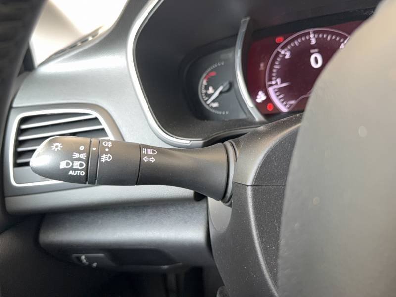 Renault Mégane - Photo 28