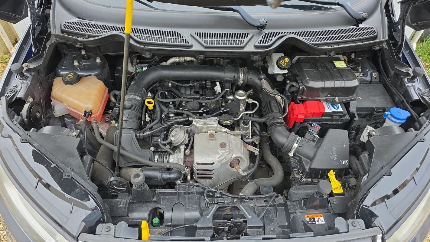 Ford EcoSport - Photo 15