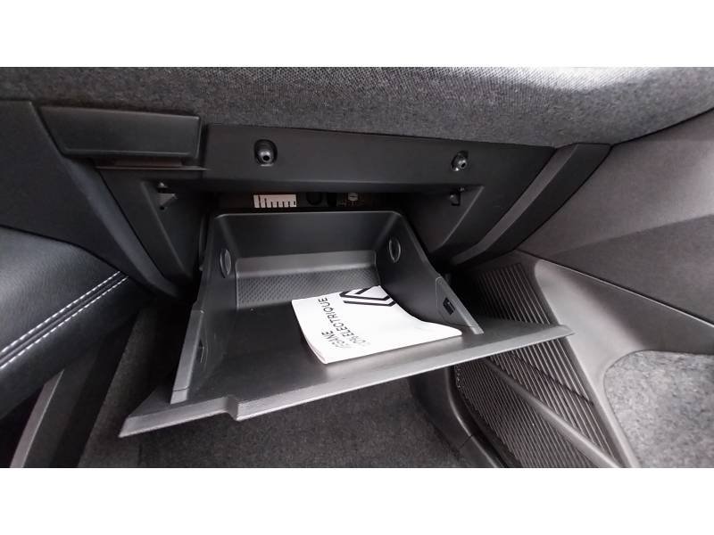 Renault Mégane - Photo 33
