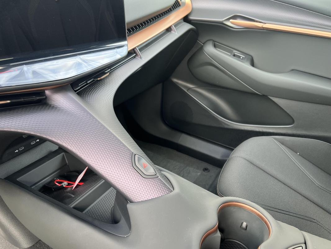 Cupra Tavascan - Photo 14