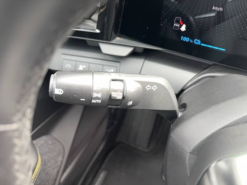 Renault Mégane - Photo 19