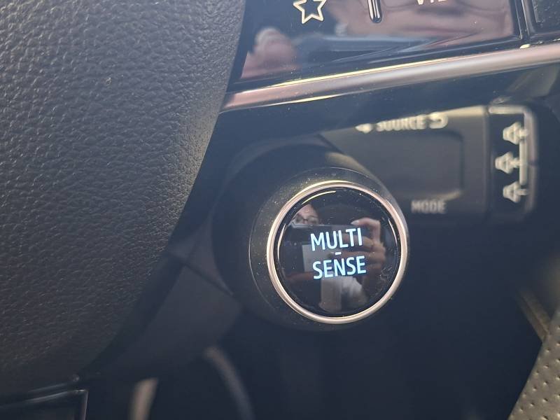 Renault Mégane - Photo 43