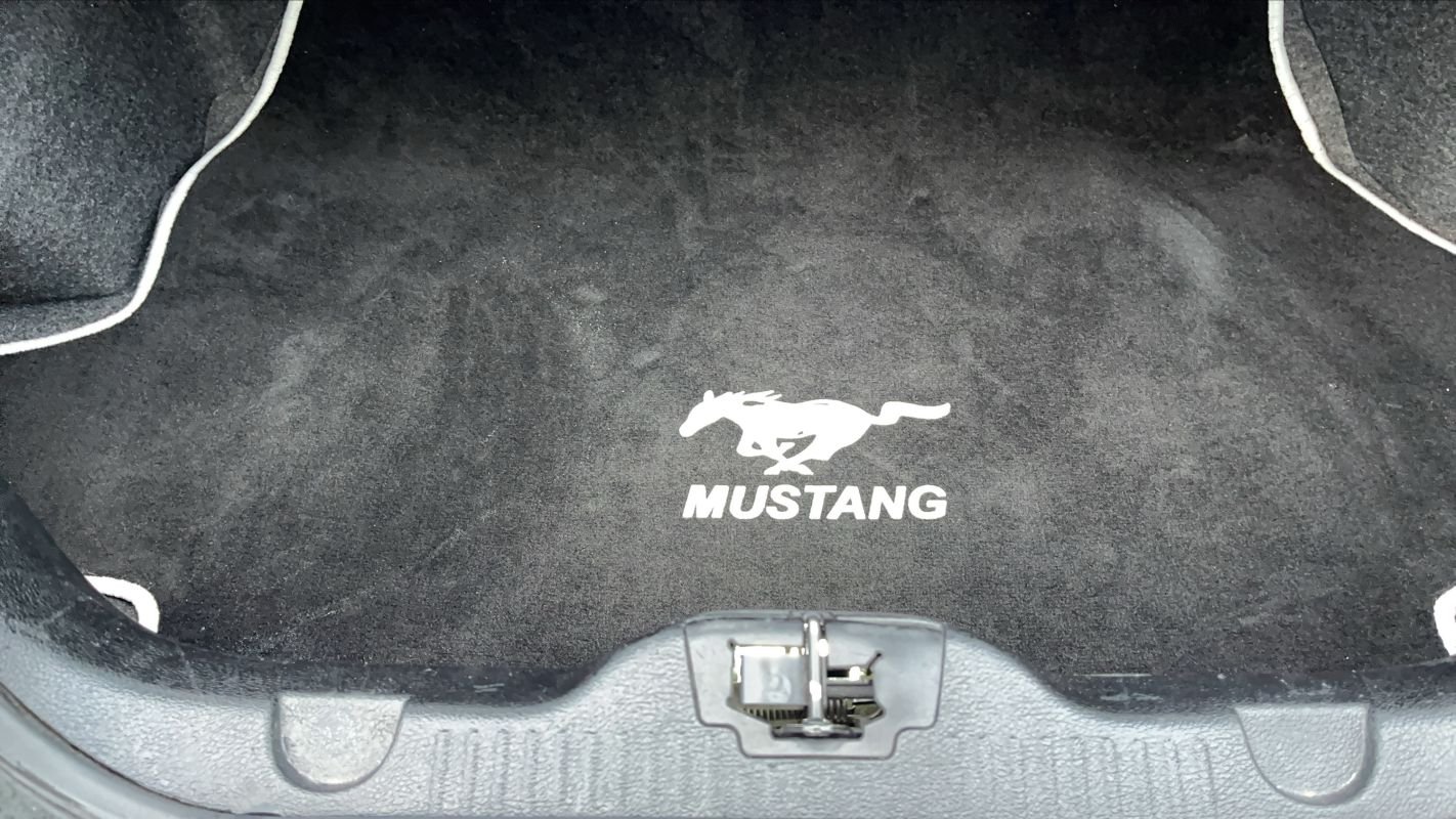 Ford Mustang - Photo 14