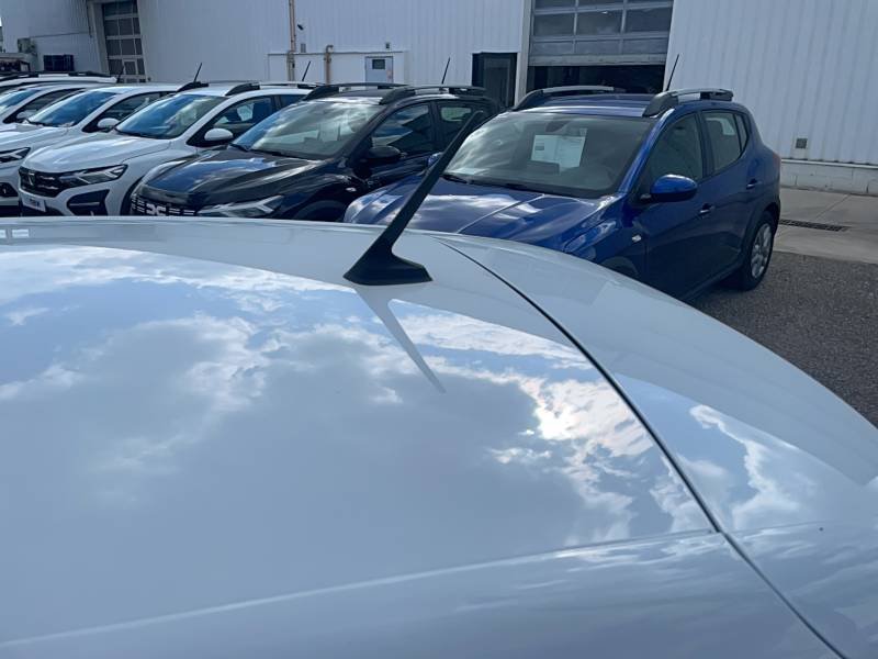 Renault Mégane - Photo 32