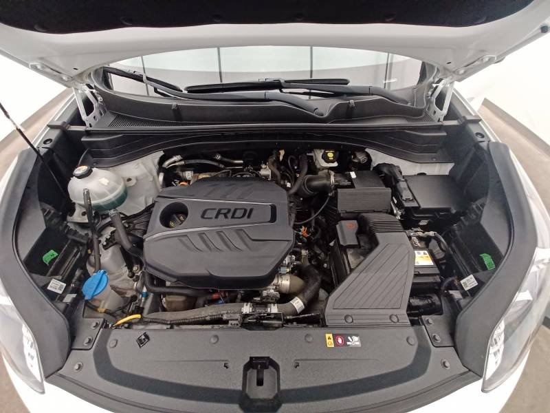 Kia Sportage - Photo 11