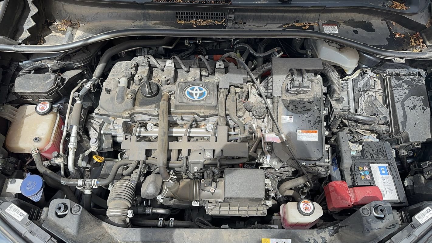 Toyota C-HR - Photo 15