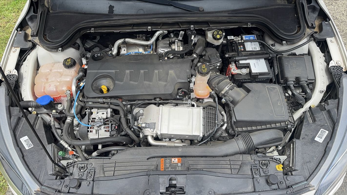 Ford Focus - Photo 15