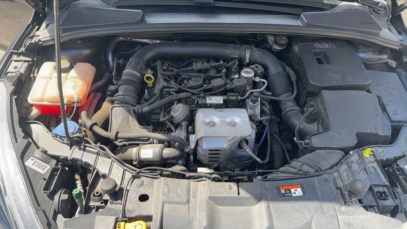 Ford Focus - Photo 15