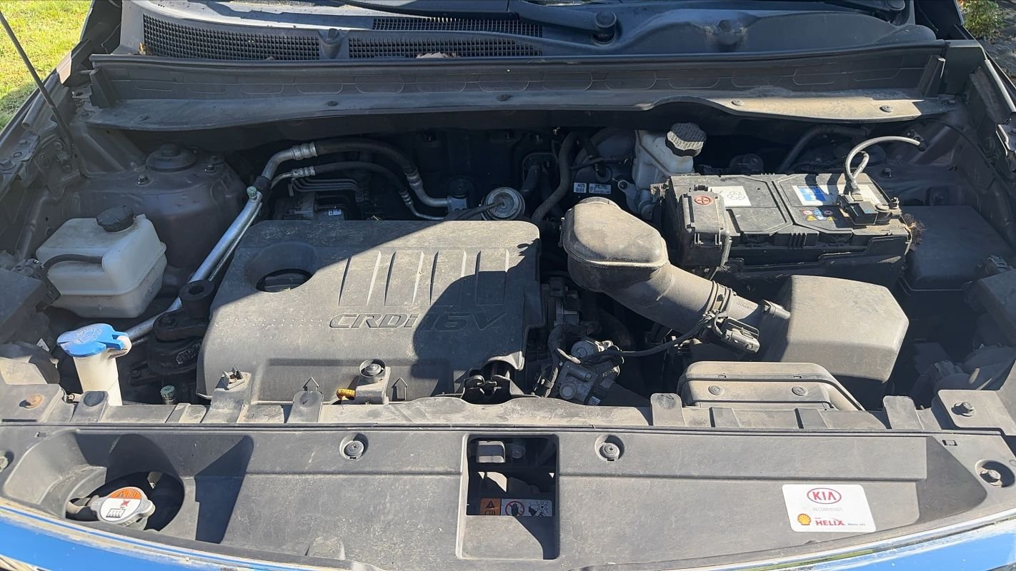 Kia Sportage - Photo 15