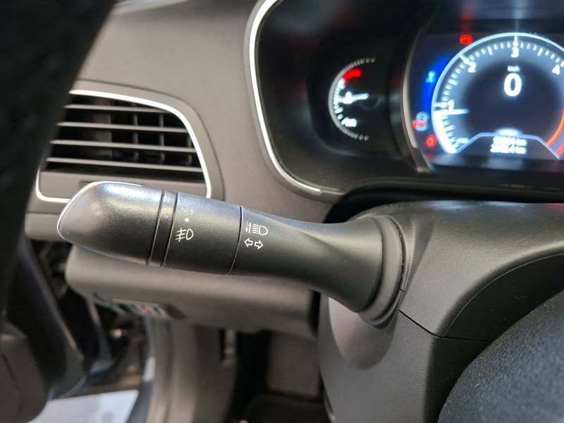 Renault Mégane - Photo 22