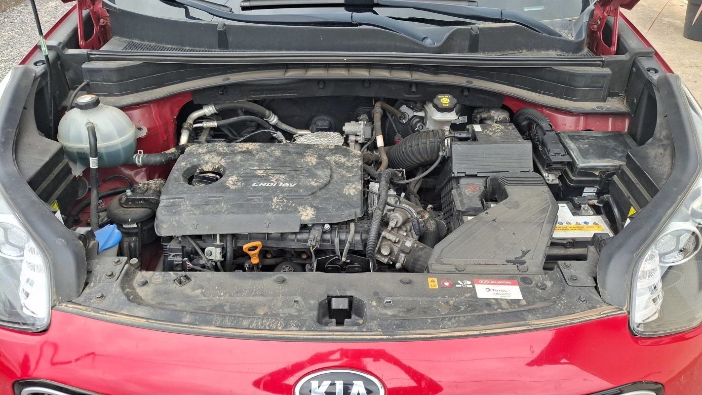 Kia Sportage - Photo 15