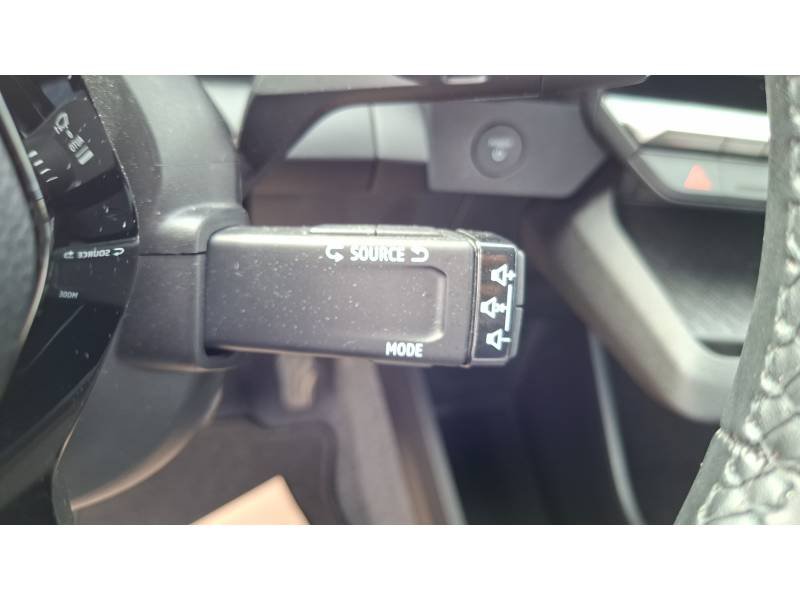 Renault Mégane - Photo 22