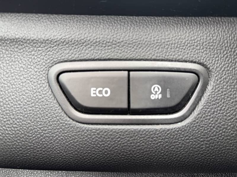 Renault Kadjar - Photo 40