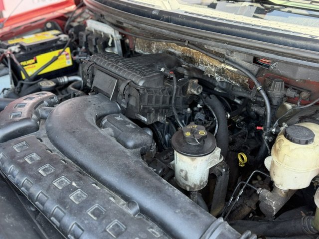Ford F 150 - Photo 19